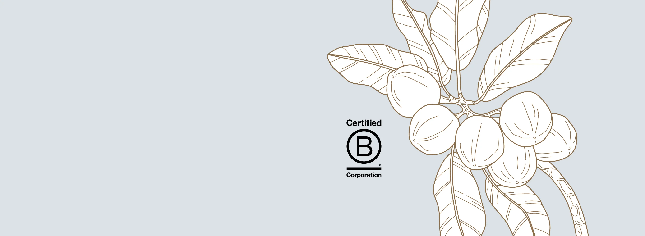 Pure Beauty, Rooted in Nature